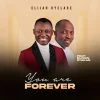 Music + Video: Elijah Oyelade feat. Dunsin Oyekan – You Are Forever