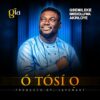 Download: O Tosi O by Gbemileke I Akinloye