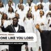 Download: None one like you by Mercy Chinwo