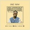 Download: De Samist _ Gratitude