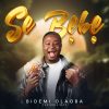 Download: Se Bebe – Bidemi Olaoba