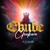 Download: Mr M Revelation _ Ebube Chukwu