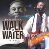 Download: Kaestrings _ Walk on Water