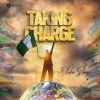 Ebuka Songs _ Taking Charge Mp3 Download