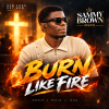Download: BURN LIKE FIRE by SAMMY BROWN MSCS
