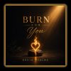 Download  David Psalms _ Burn For You