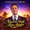 Emmanuel okoh _ Nigeria shall rise again